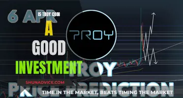 Troy Coin: A Smart Investment Decision?