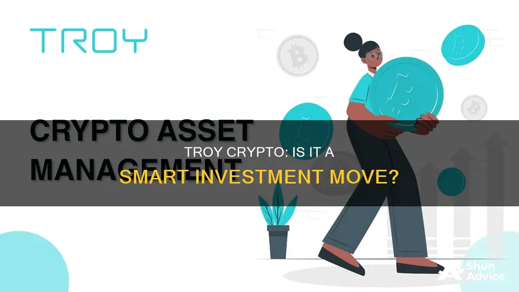 is troy crypto a good investment