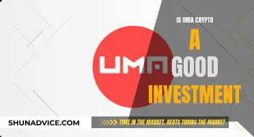 Uma Crypto: Smart Investment or Risky Gamble?