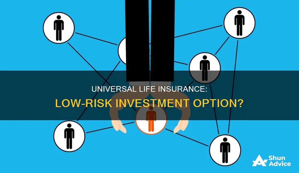 is universal life insurance a low risk investment