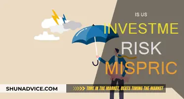 US Investment Risk: Mispricing or Strategic Move?