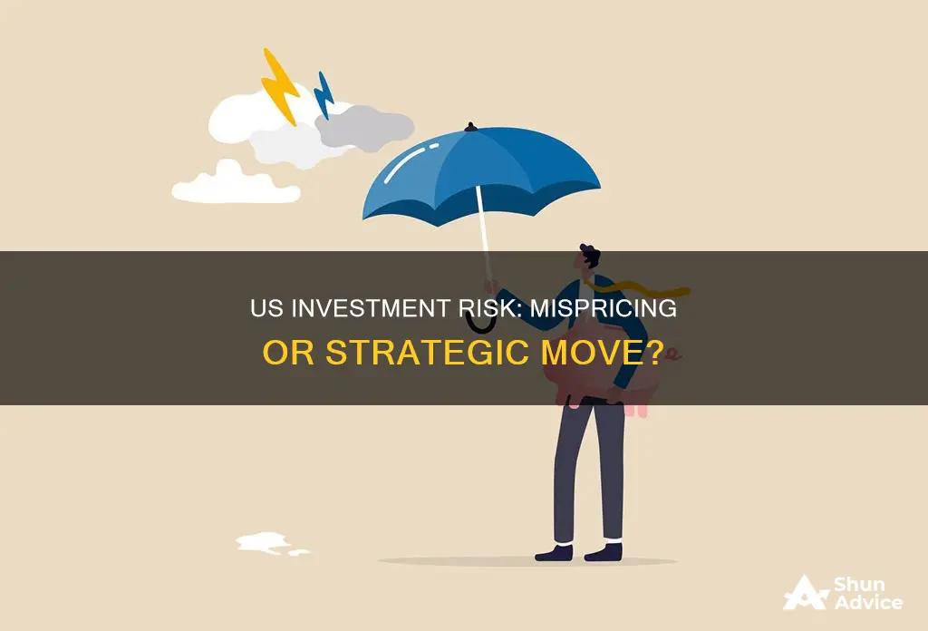 is us investment risk mispriced