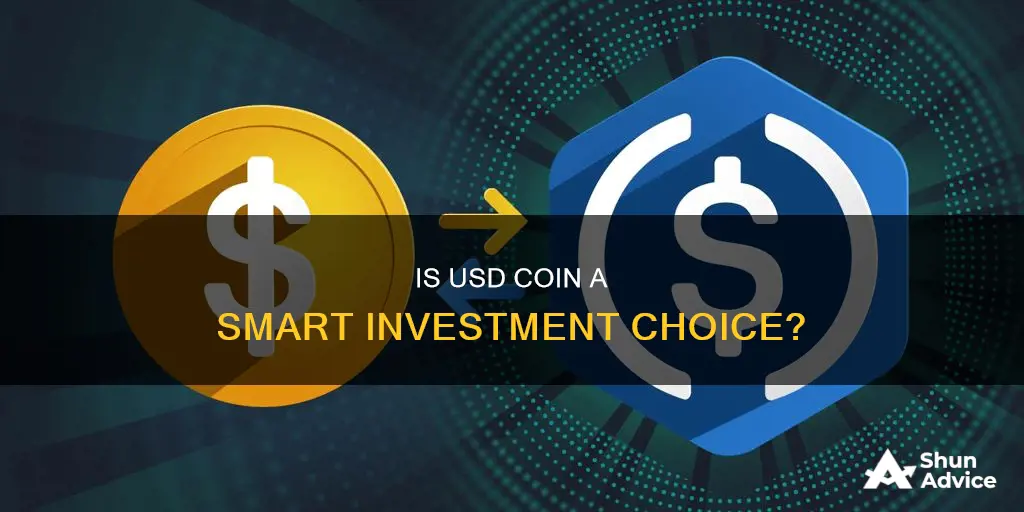 is usd coin a good investment