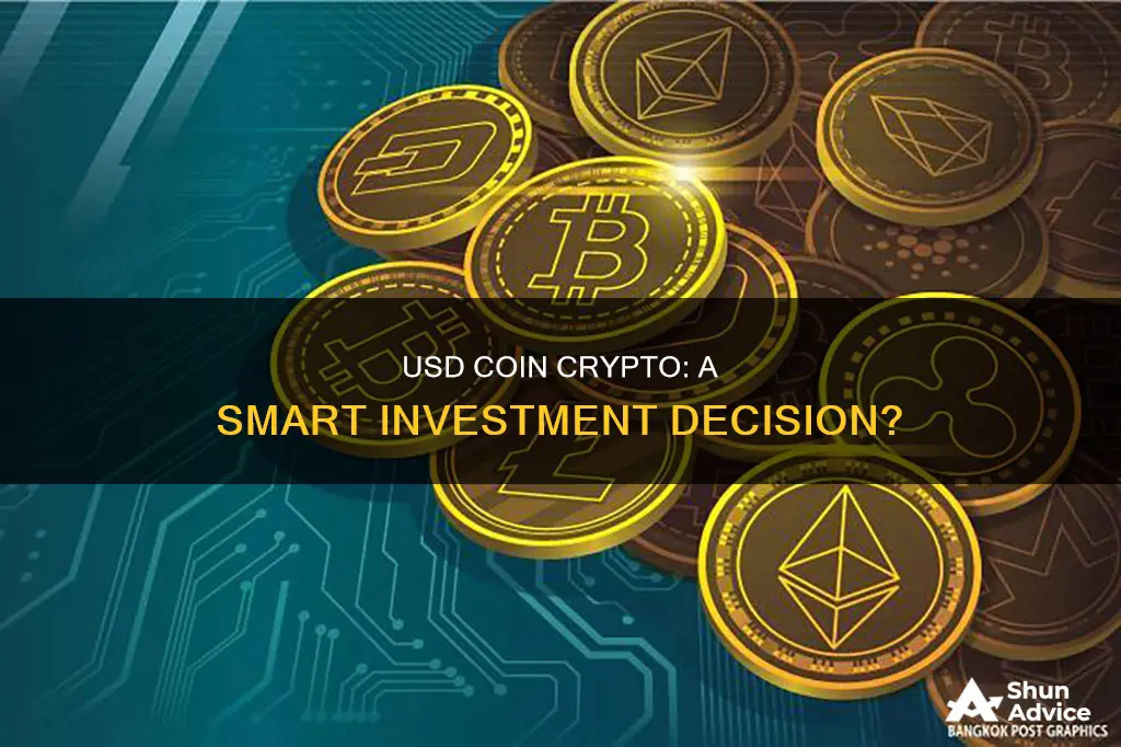 is usd coin crypto a good investment