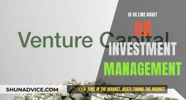 Venture Capital: Asset or Investment Management?