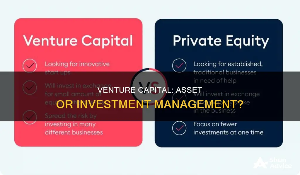 is vc like asset or investment management