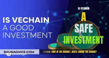 Vechain: A Safe Investment Choice?