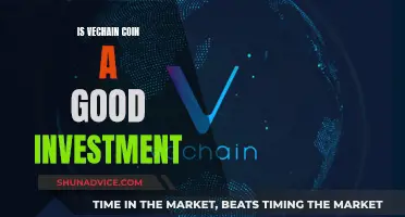 Vechain Coin: A Smart Investment Decision?