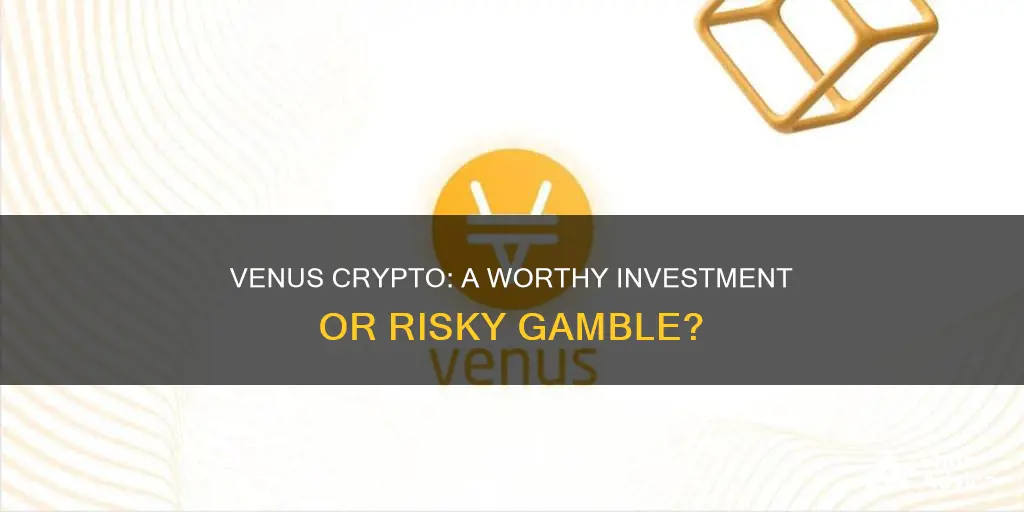 is venus crypto a good investment