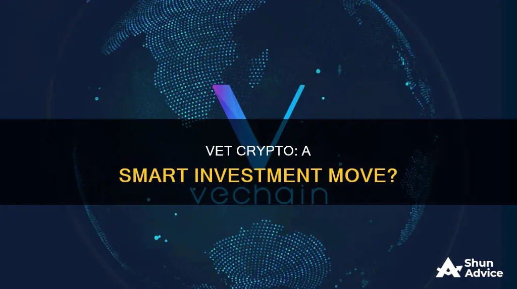 is vet crypto a good investment