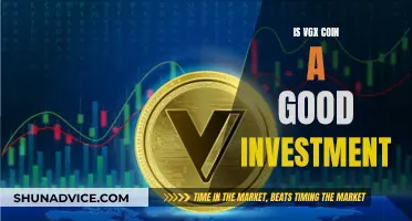 VGX Coin: A Smart Investment Decision?