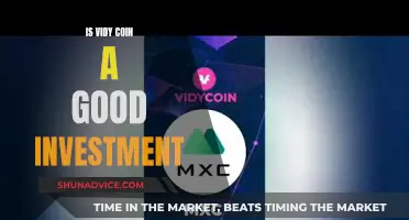 Vidy Coin: Worthy Investment or Risky Gamble?