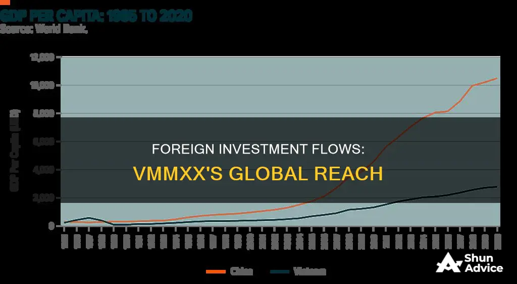 is vmmxx heavy in foreign investments