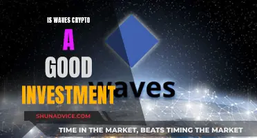 Waves Crypto: A Smart Investment Decision?