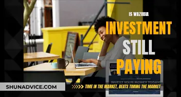 Wazobia Investment: Are They Still Honouring Payouts?