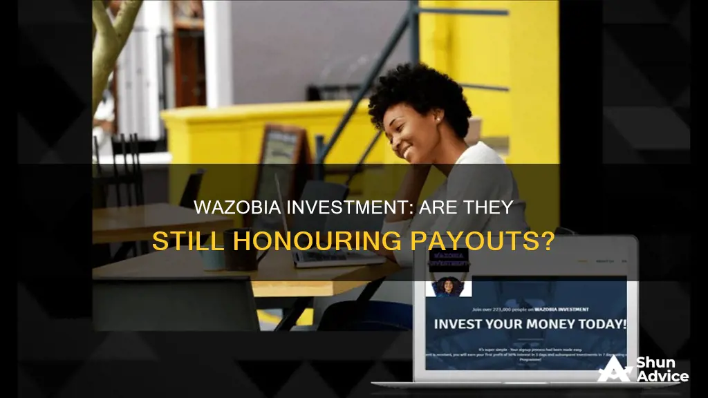 is wazobia investment still paying