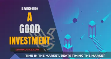 Webcoin ICO: Worthy Investment or Just Another Crypto Scam?