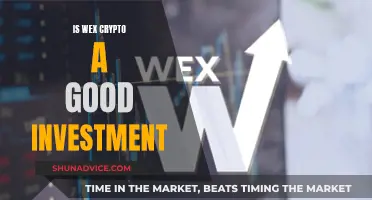 Wex Crypto: A Good Investment or a Risky Bet?