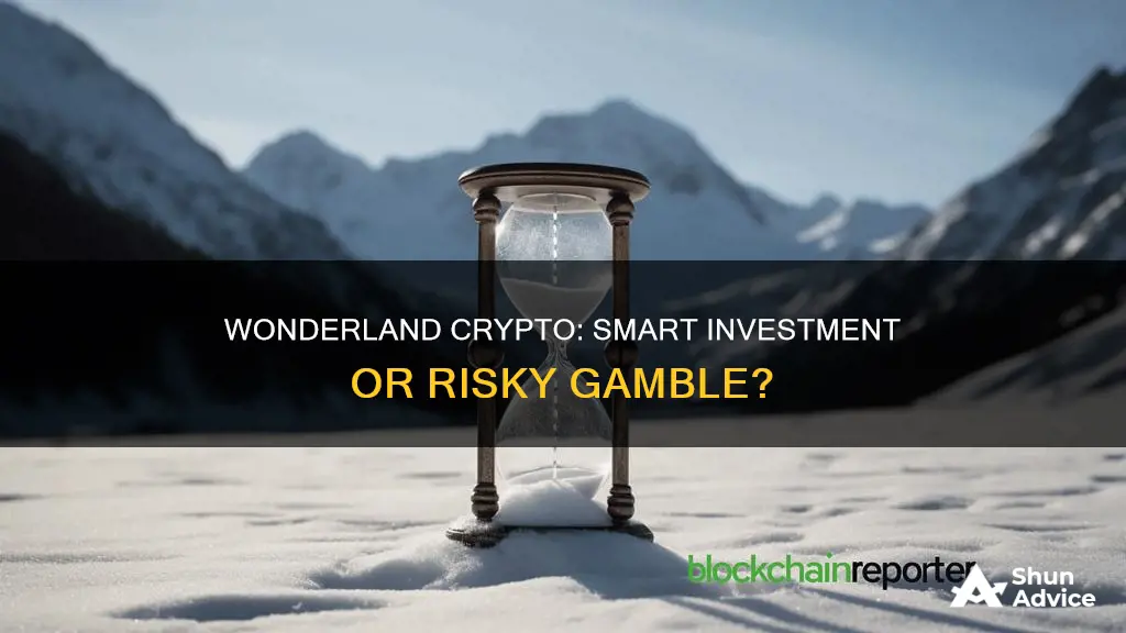 is wonderland crypto a good investment