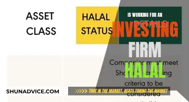 Navigating the Halal Status of Investment Firms