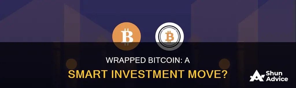 is wrapped bitcoin a good investment