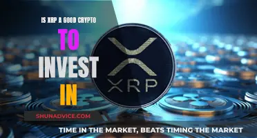 XRP Crypto: Is It a Good Investment Option?