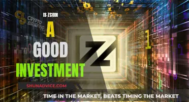 Zcoin Investment: Good or Bad Choice?