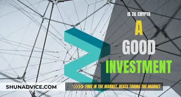 Zil Crypto: Smart Investment or Risky Gamble?