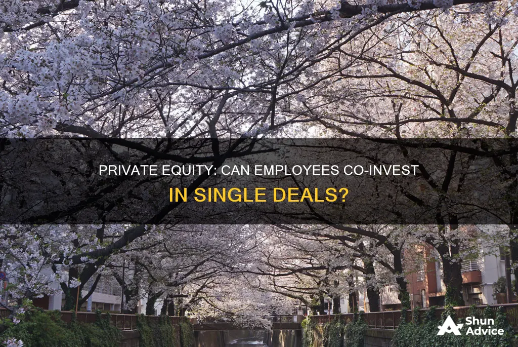 may private equity employees co-invest in single investments