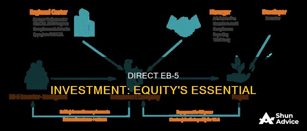 must direct eb 5 investment to equity