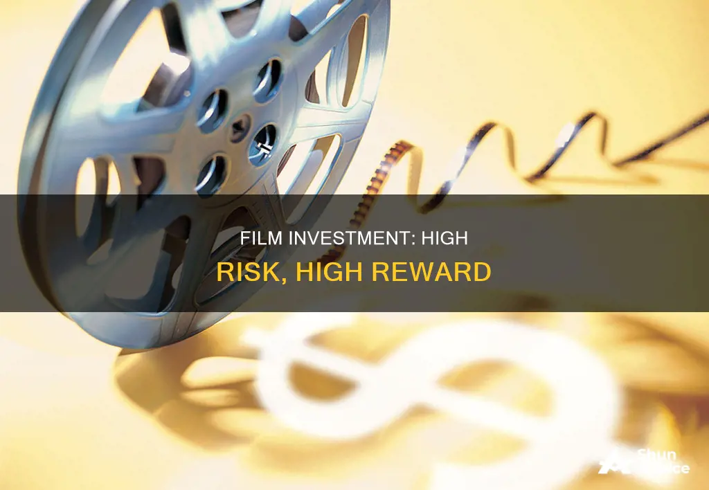 must film investment say high risk