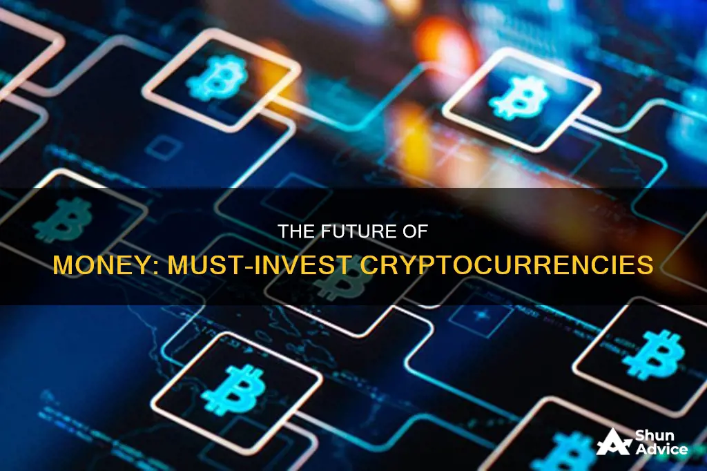 must invest cryptocurrency