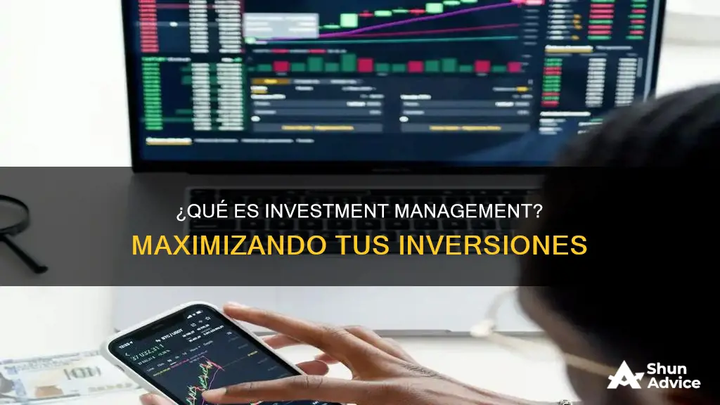 qué es investment management