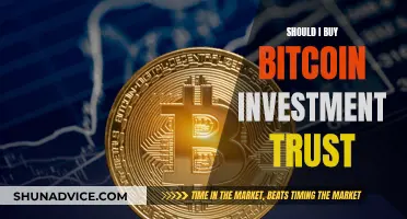 Why You Should Consider Investing in Bitcoin Investment Trust