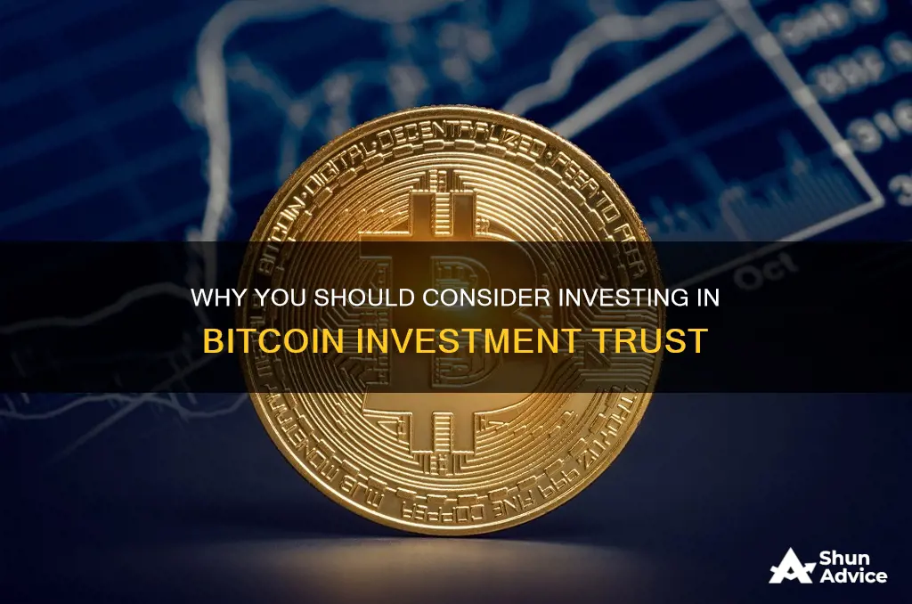 should I buy bitcoin investment trust