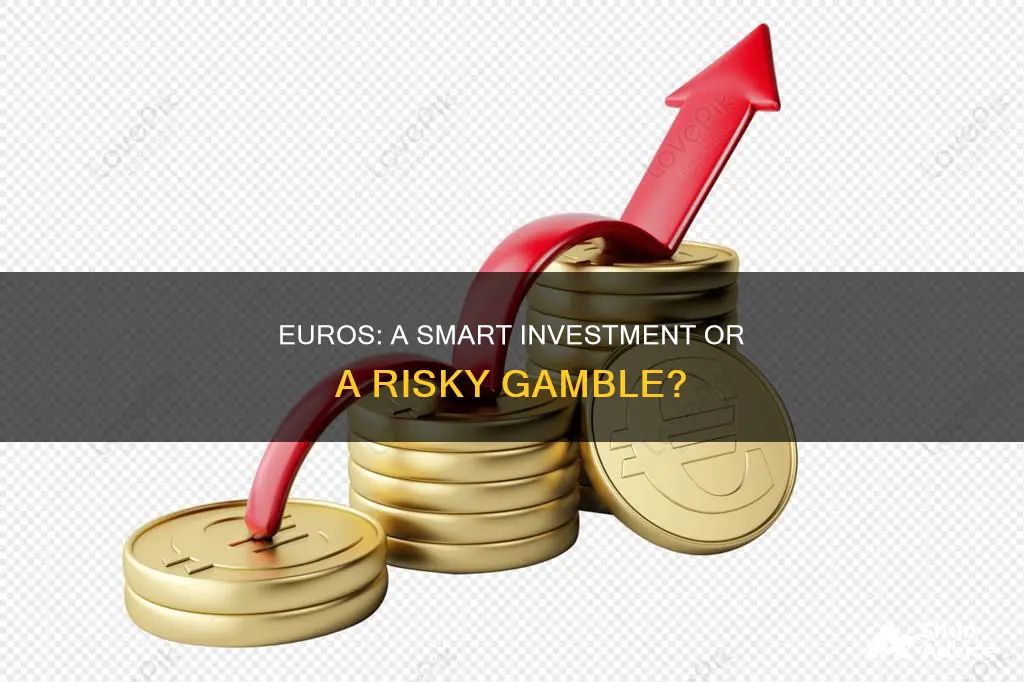 should I buy euros as an investment