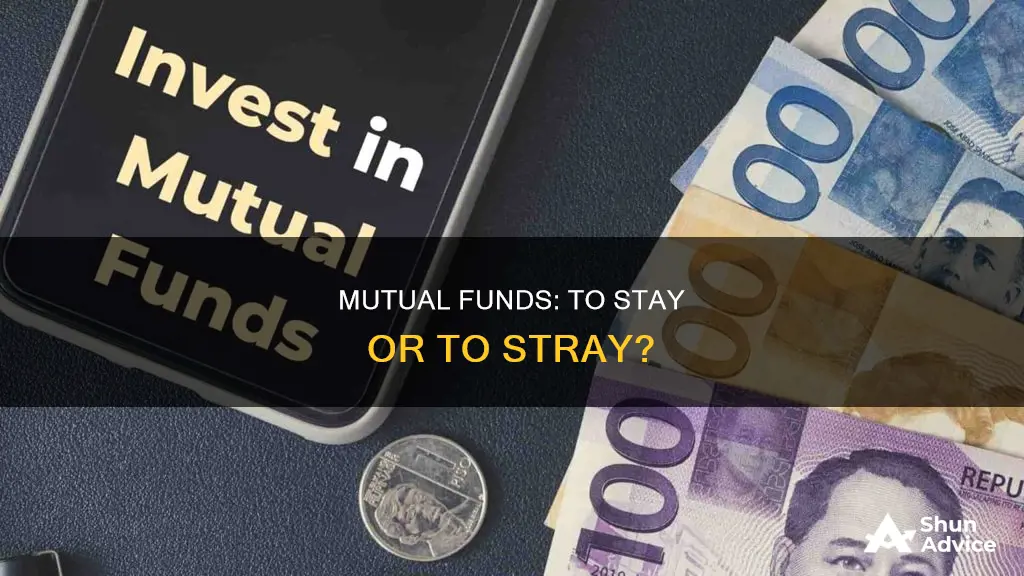 should I continue investing in mutual funds