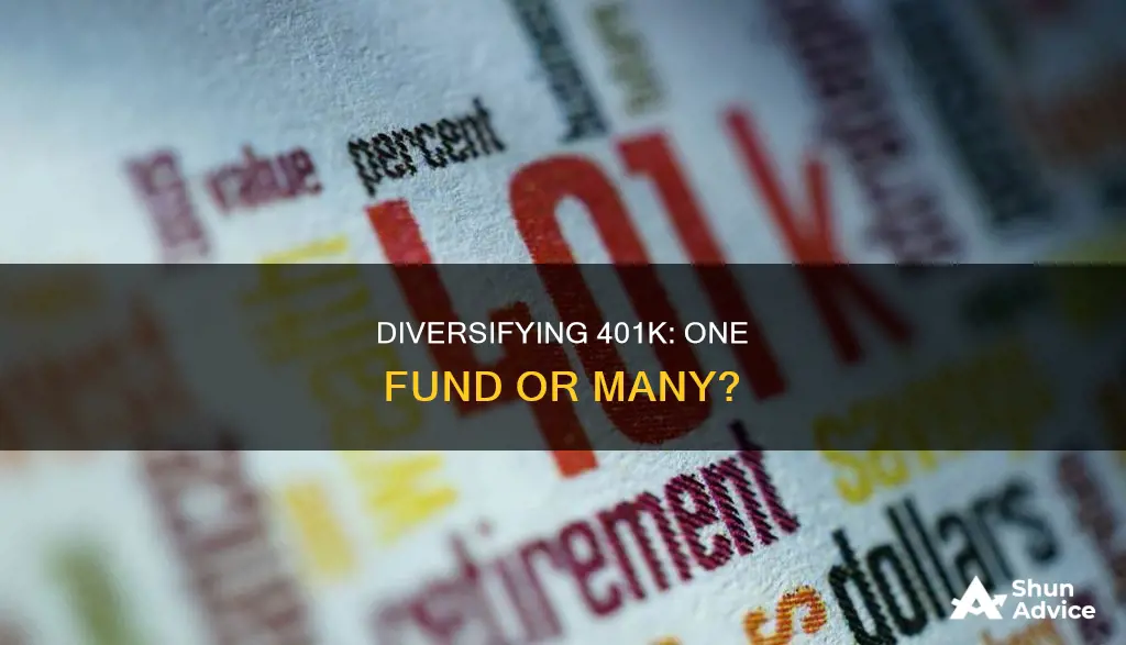 should I diversify my 401k or invest in one fund