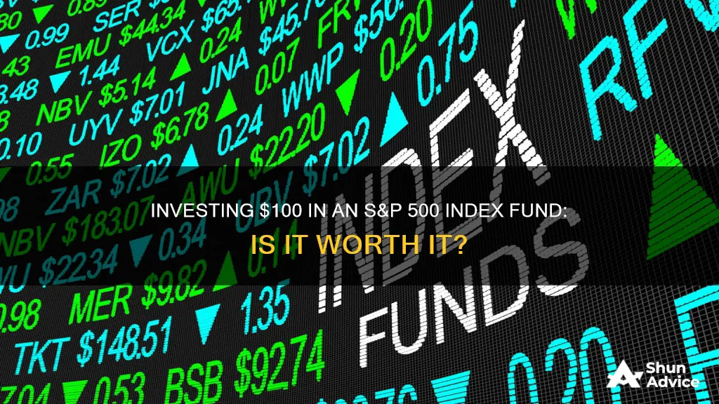 should I invest 100 in s&p 500 index fund