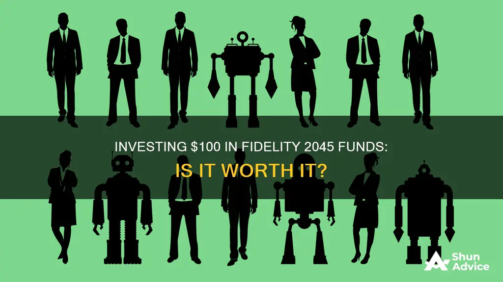 should I invest 100 into fidelity 2045 funds