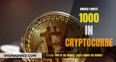 Investing $1000 in Crypto: Is It Worth the Risk?