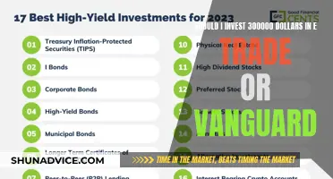 Navigating the Investment Dilemma: E*TRADE vs. Vanguard for $300,000