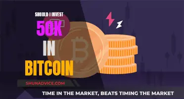 Investing in Bitcoin: Is it Worth the Risk?