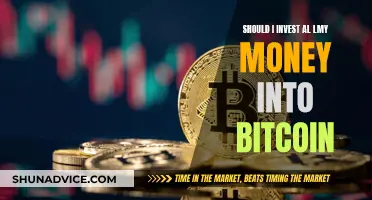 Bitcoin Investment: Is It Worth Betting Everything?