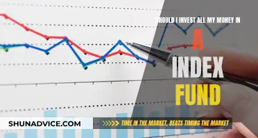 Index Funds: Smart Move or Risky Bet?