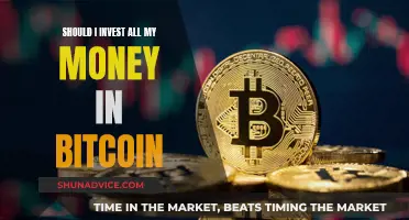 Bitcoin Investment: All In or Not?