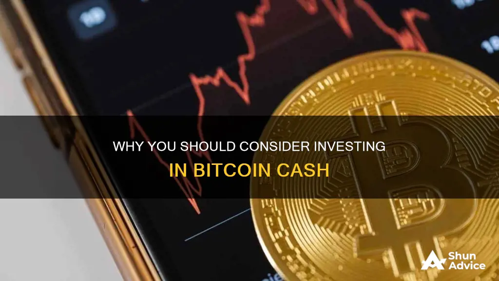 should I invest bitcoin cash