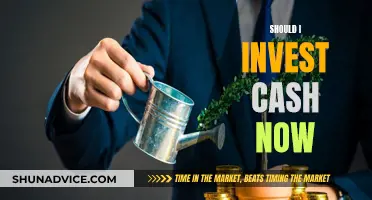 Cash Investments: Now or Later?