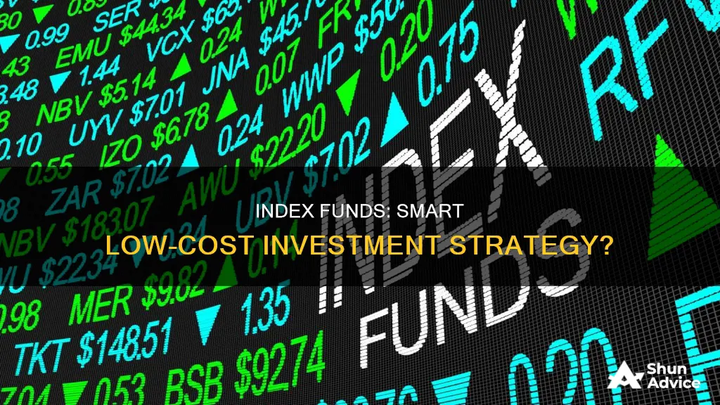 should I invest everything in low cost index funds