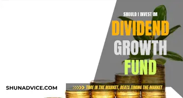 Dividend Growth Fund: Smart Investment Strategy for Long-Term Gains?